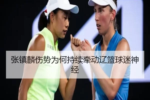 张镇麟伤势为何持续牵动辽篮球迷神经